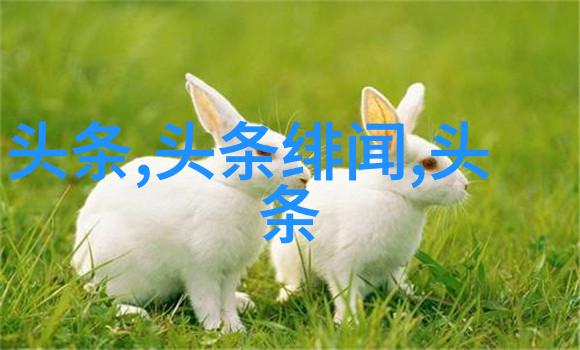 解锁古秘八卦图背后的神秘力量与方位风水之谜