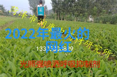 男人大气励志网名青春在社会的风浪中不能软绵绵地失败