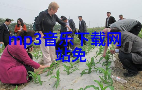 跨海之语大陆与内地的双重身份