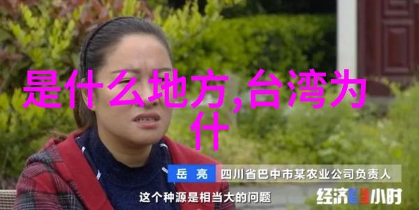 大鱼直播我是如何在一夜之间成为网红的