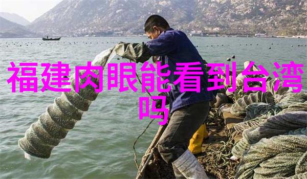 数字密码揭秘手机短信的02319代码背后故事