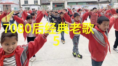 如何衡量一个演员通过参与哪些类型的综艺节目能快速成名为明星