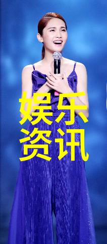 解密炮台一词对高圆圆粉丝文化的分析