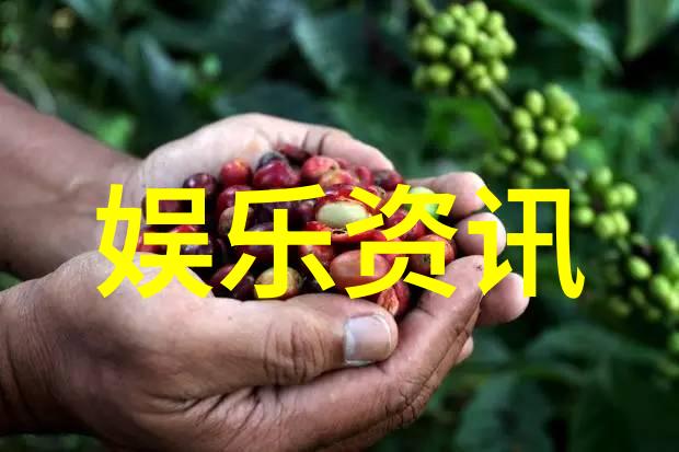 大自然风景-绚烂的森林探索绿茵海洋中的生命之歌