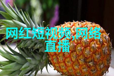 木兰妈妈 电视剧我家的木兰妈妈你也见过吗