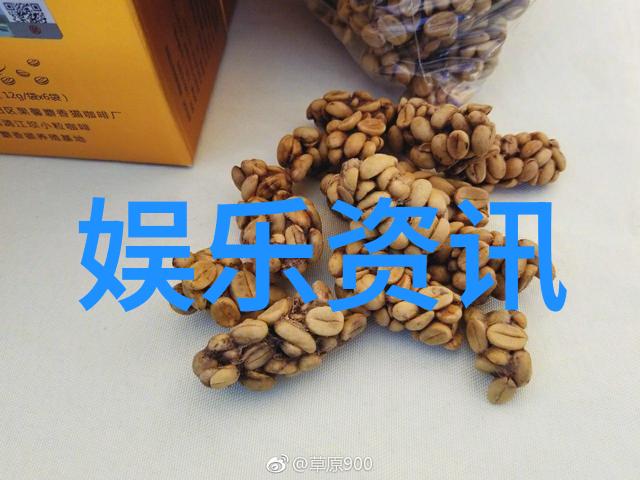 在数码海洋中pans写真能否捕捉到真正的灵魂光芒