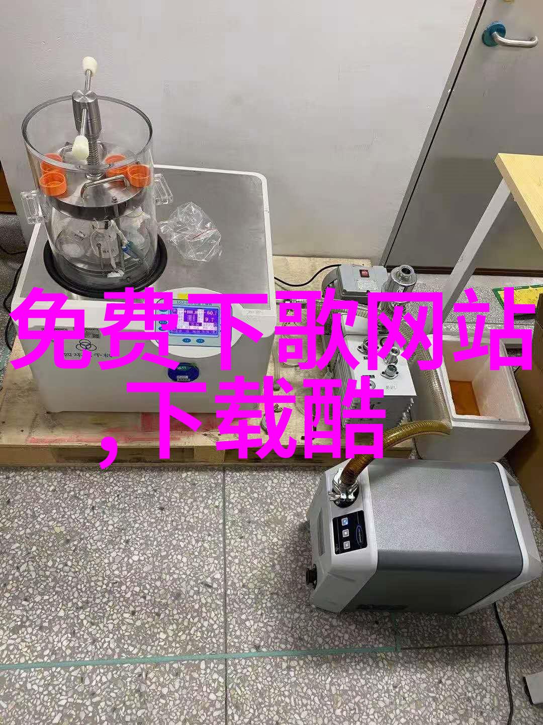 探索中国美食的辽阔世界包括哪些地区的味道不可错过