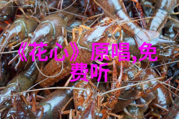如何通过数字平台提供优质内容让消费者自愿支付观看费用