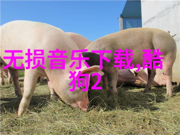 在社会的舞台上天天娱乐网成为焦点众多艺人齐聚一堂为观众带来精彩纷呈的表演