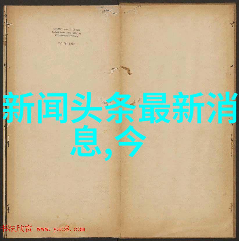 精确控制转矩高性能双列自Aligning球座式22232轴承概述