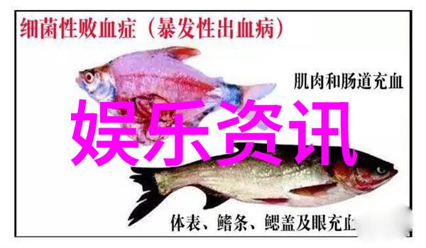 玉米地里的公愆憩止解密自然疗法中的痒烦之道