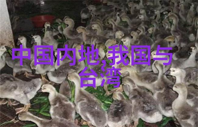电影网我在这里找到了电影世界的全部精彩