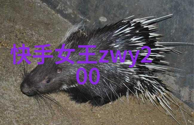 智能图像分析技术革新如何让机器更精准地识别世界