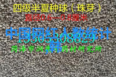 百年孤行追溯一代人的独立梦想