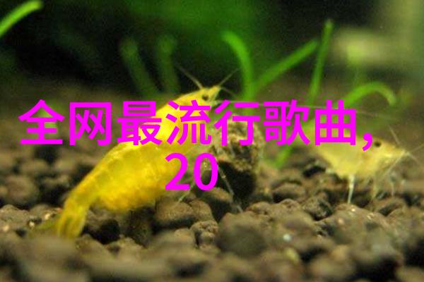 快速获取今日头条极速版轻松体验新闻资讯的即时快感
