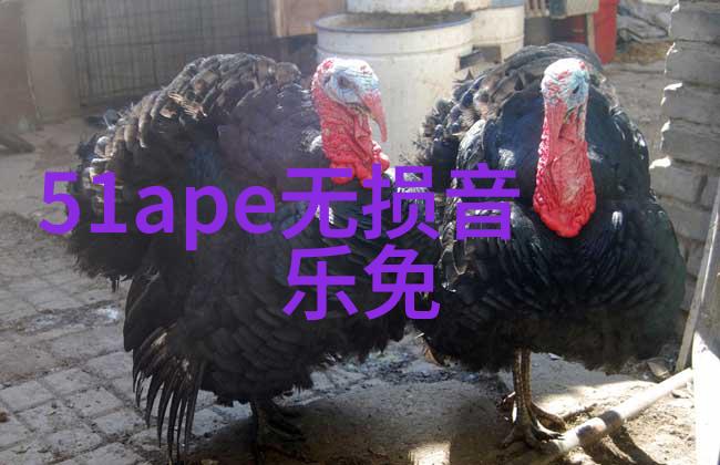 东北网红排行榜我来告诉你这周最火的东北美食博主