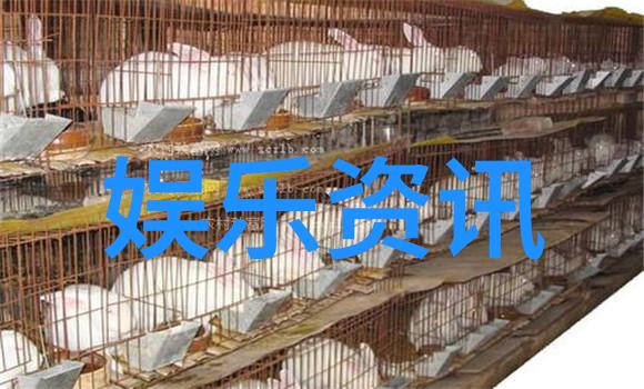 绿色环保材料在现代家庭中的应用和挑战