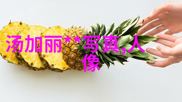 荒野求生从虚拟世界到真实挑战