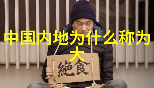 翱翔蓝天的法国空乘服务与魅力的完美结合