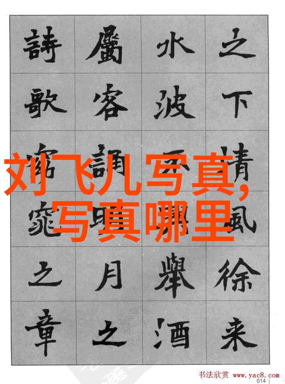 猫咪当选市长民众称赞其领导力和无缝消化能力