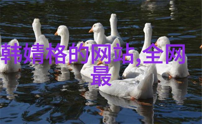 台湾佬中文娱乐盛宴从台语乐坛到华语影视的辉煌历程
