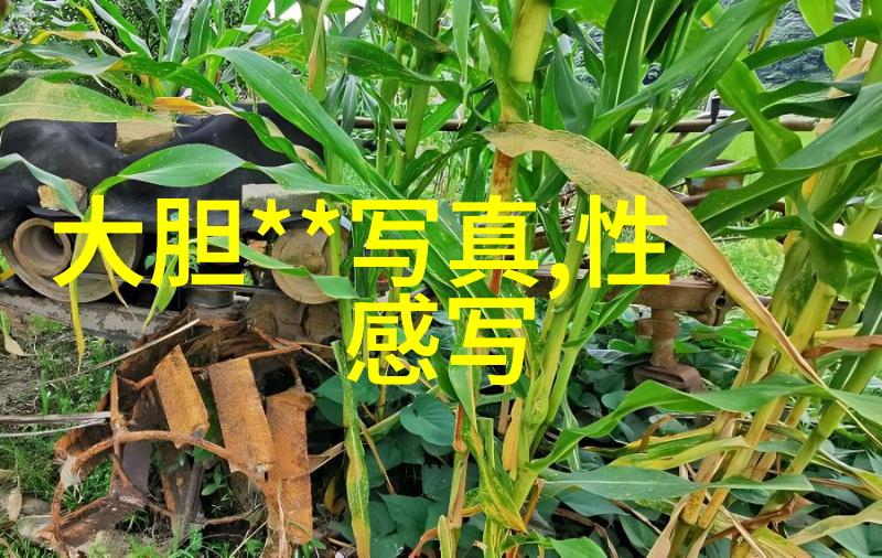 丝袜美女写真缎纹梦境中的倾城佳人