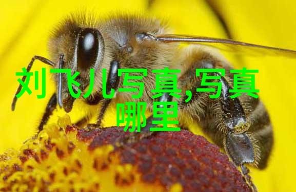 新闻热点聚焦九个头条深度解析九大社会经济政治科技文化娱乐体育教育事件