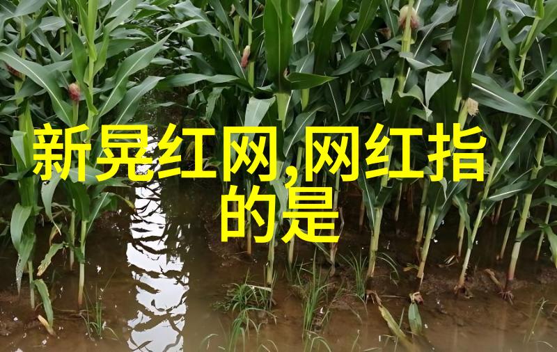今日头条上海10月热浪袭击气温飙升刷新历史高标