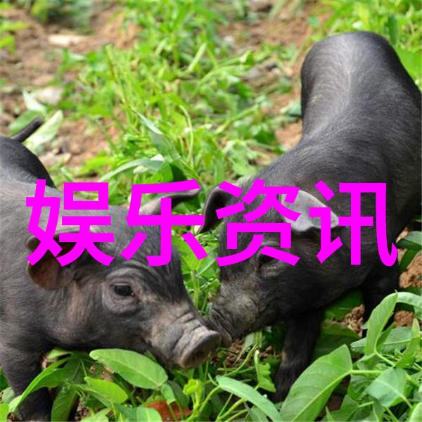 影后与李现再次携手新合作曝光痞帅气质不输肖战八卦五行属性