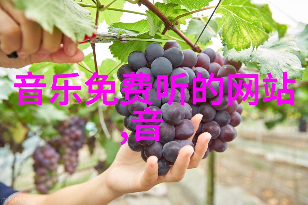 俄罗斯电影周开幕犹如璀璨星辰助力中俄文化交流的快时尚盛宴