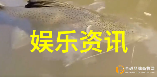 民间盖房的八卦智慧古代建筑图案的现代启示