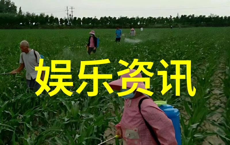 天地姻缘七仙女电视剧探究文化符号与现代传媒的交融