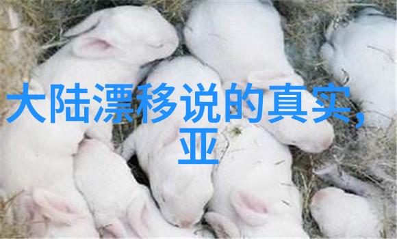 抖音上热传的十首情歌让人感动泪流满面