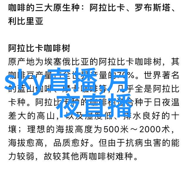 繁华之下静默的舞者
