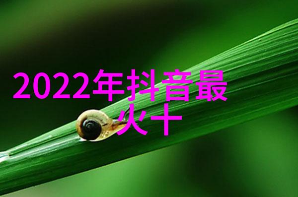 伪装者掩藏真相的秘密生活