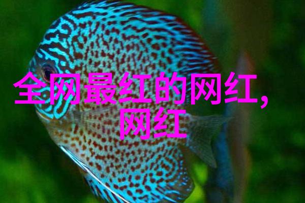 影视森林幕后的故事与光影之城