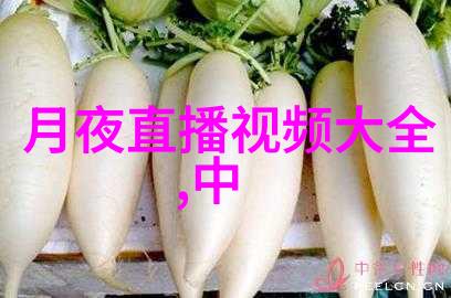 在中国网络红人中认真工作的模范背后是怎样的美