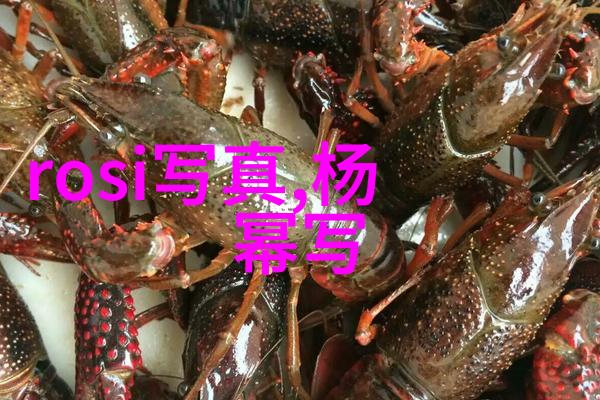 全国最大网红排名背后的故事斗鱼主播天天喜提老地方事件女主播现为公益直播
