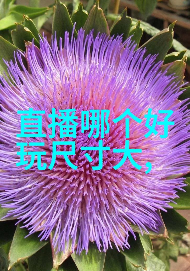 低端影视探索边缘文化与地下电影的奇幻世界