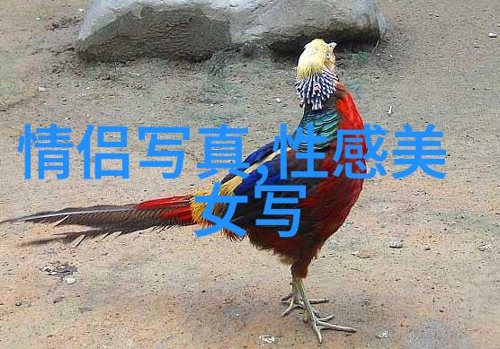 豆瓣电影精选豆瓣网上高分好评的电影推荐
