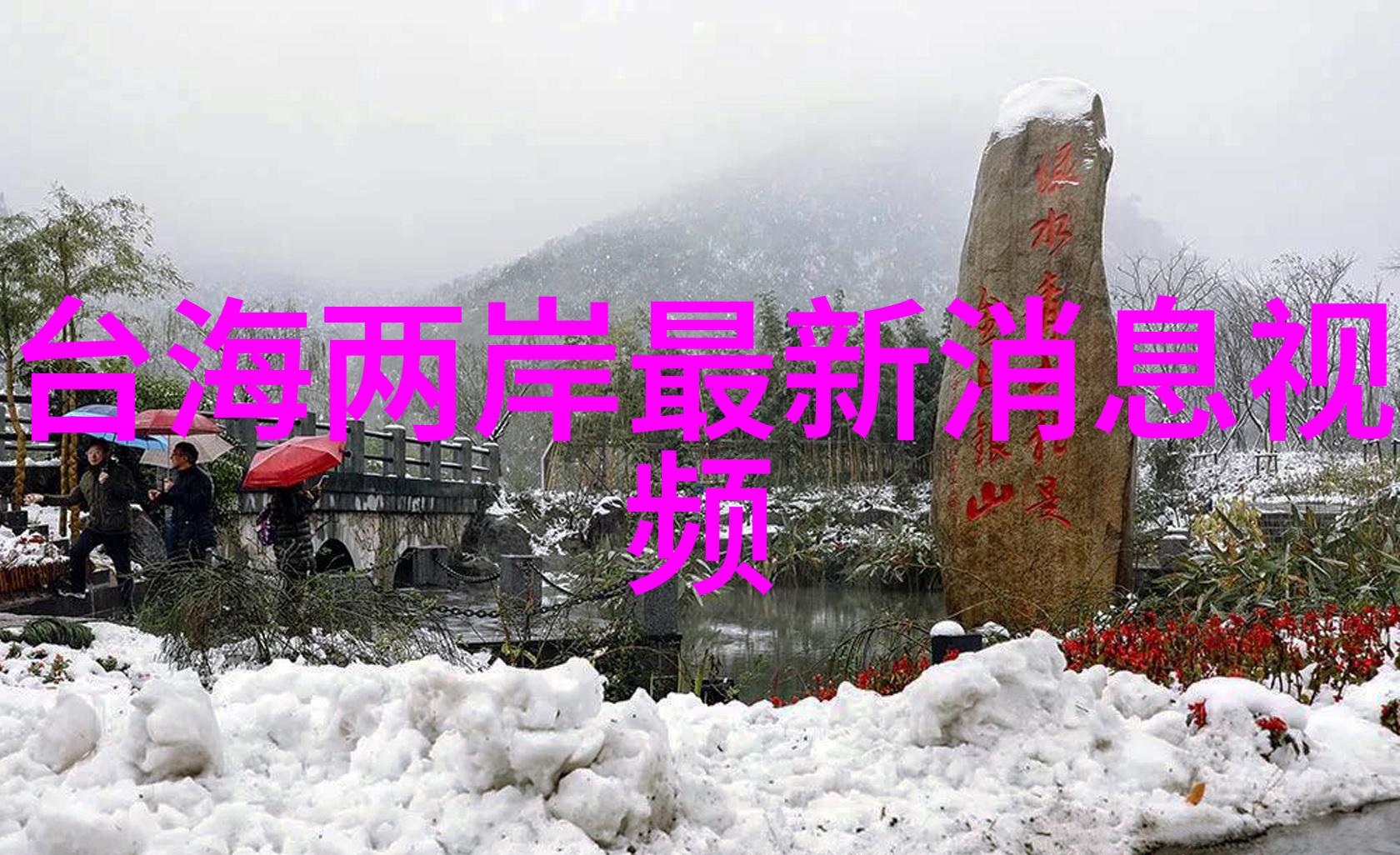 御者之妻穿越沙漠的守护与梦想