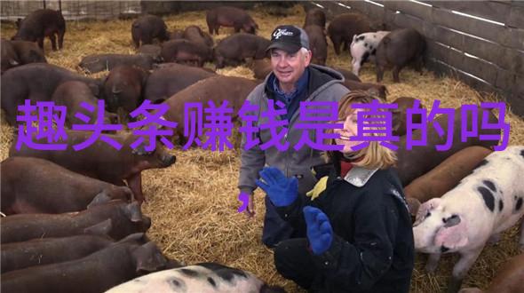 坐在硬邦邦的rb上面写作业我的午后小憩