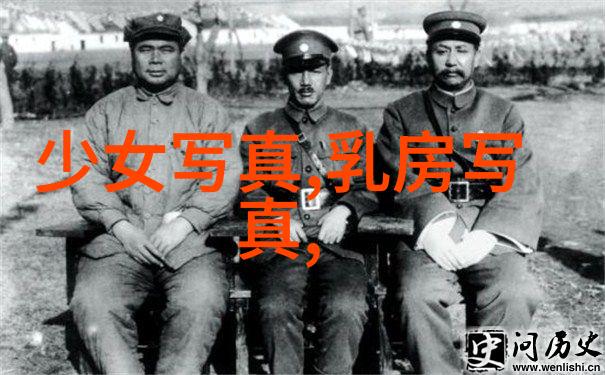 娱乐圈-明星网点亮红毯的闪耀光芒
