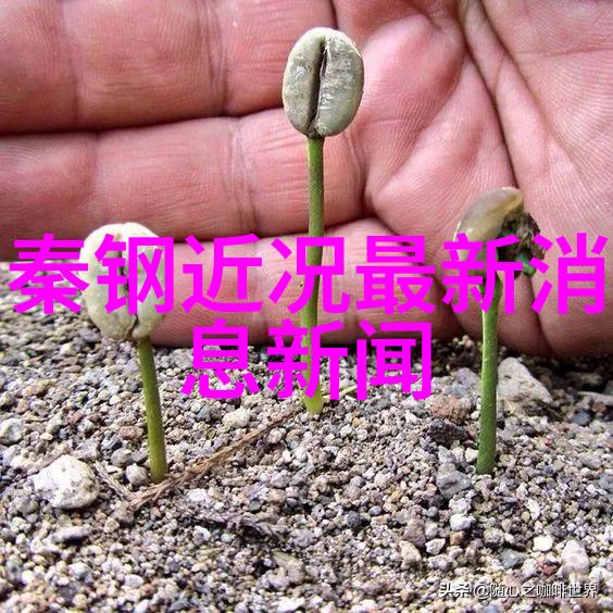 古风奇缘追寻花千骨的传说故事