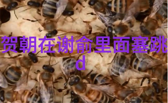 视觉盛宴展示最好的好看漂亮图片汇总