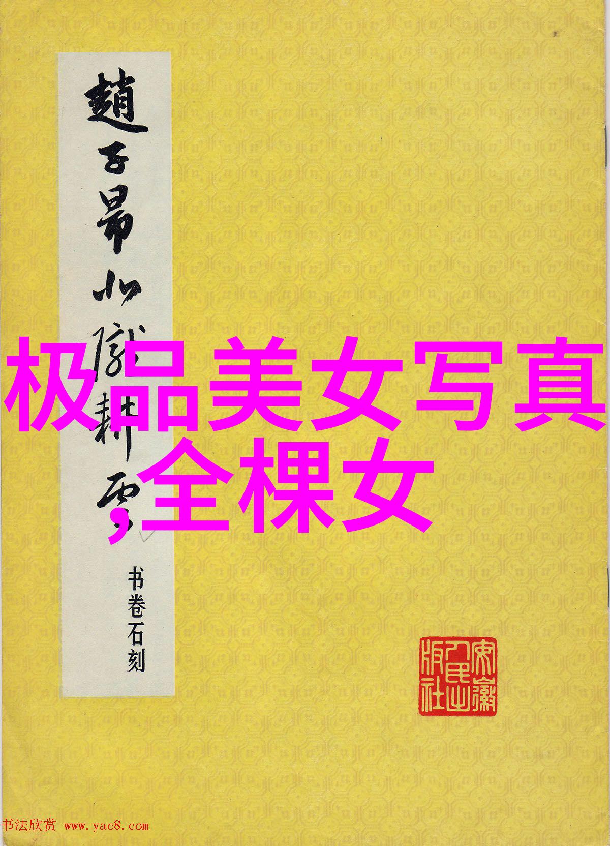 星光闪耀偶像绽放的娱乐舞台