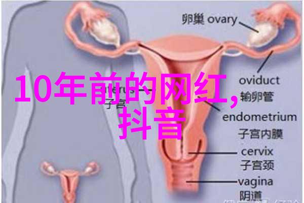 从现场到案发地Veteran如何精妙地编织出一个复杂案件