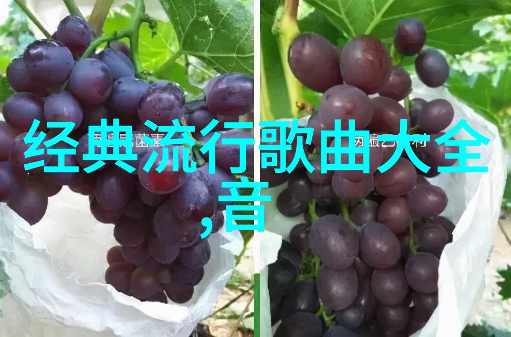 汶川地震遗址汶川地震的历史照片