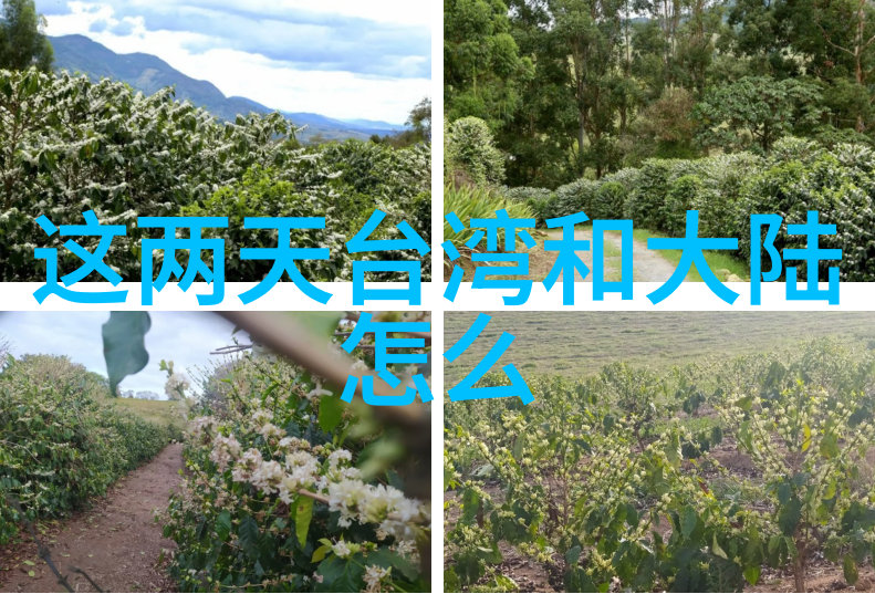 遇见你真好综艺探秘美国队长盾上的神秘划痕