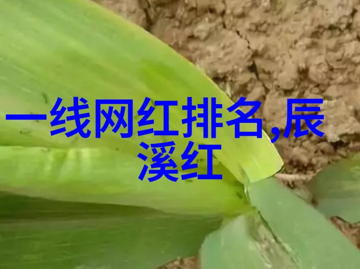 难忘经典老歌100首回忆曲库
